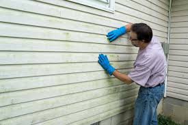 Best Vinyl Siding Installation  in University, FL